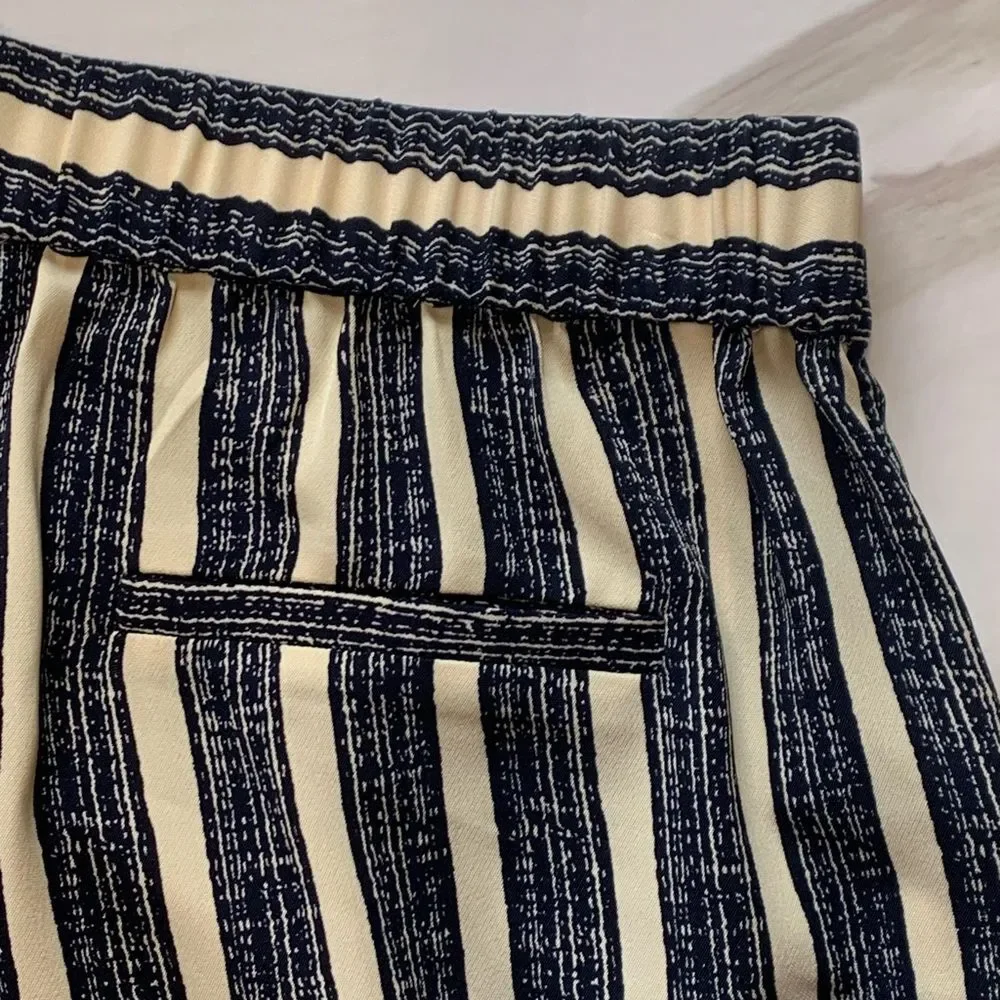NWT Lysse | Cannes Pleated‎ Wavy Stripe Short S